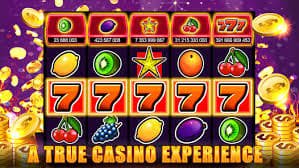 xwin77 VIP dashboard akun member loyal privilege eksklusif bonus cashback Indonesia